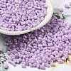 Glass Seed Beads SEED-K009-02A-05-1