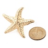 Starfish Alloy Adjustable Rings for Women RJEW-B108-02KCG-5