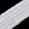 Transparent Frosted Glass Bead Strands GLAA-N047-08-B10-1