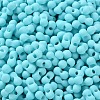 Rubberized Style Glass Seed Beads SEED-Z003-01D-3