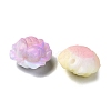 Resin Beads LS-RESI-F046-03-2