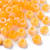 Acrylic European Beads MACR-S375-002B-06-1