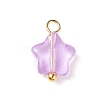 Glass Charms PALLOY-JF01731-2