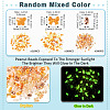 Mixed Styles Acrylic Beads SACR-TA0001-81C-4