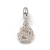 Alloy Rhinestone European Dangle Charms PALLOY-I218-25P-2