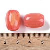 Resin European Beads RESI-F055-11B-3