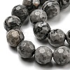 Natural Map Stone/Picasso Stone/Picasso Jasper Beads Strands G-C079-B05-01-4