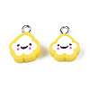 Handmade Polymer Clay Charms CLAY-N006-37B-01H-2