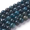 Natural Apatite Beads Strands G-F627-07-D-1