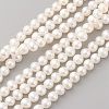 Natural Cultured Freshwater Pearl Beads Strands PEAR-G007-19-1