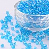 6/0 Round Glass Seed Beads SEED-US0003-4mm-163B-1