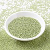 MIYUKI Round Rocailles Beads SEED-X0054-RR0378-2