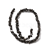 Natural Freshwater Shell Beads SHEL-B003-01J-2