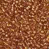 TOHO Round Seed Beads SEED-XTR08-1853-2