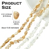 2 Strands 2 Colors Natural Shell Beads Strands SHEL-CJ0001-35-2