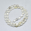 Natural White Agate Beads Strands G-S357-B10-2