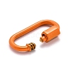 Spray Painted Brass Screw Carabiner Lock Clasps KK-B032-07-3