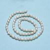 Natural Cultured Freshwater Pearl Beads Strands PEAR-J006-10F-01-3