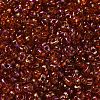 Spray Painted Glass Seed Beads SEED-F005-05A-05-3