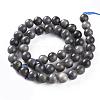 Natural Black Labradorite Beads Strands G-S333-8mm-021B-2