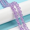 Natural Amethyst Beads Strands G-P503-6MM-08-2