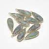 Natural Labradorite Pendants G-Q494-55C-1