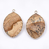 Natural Picture Jasper Pendants G-T112-16H-2