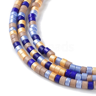 Handmade Lampwork Beads Strands LAMP-L078-008G-1