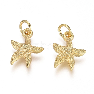 Electroplated Alloy Charms PALLOY-G267-06G-1