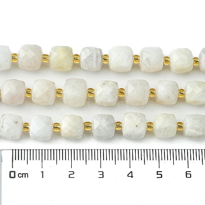 Natural Moonstone Beads Strands G-Q010-A05-01-1