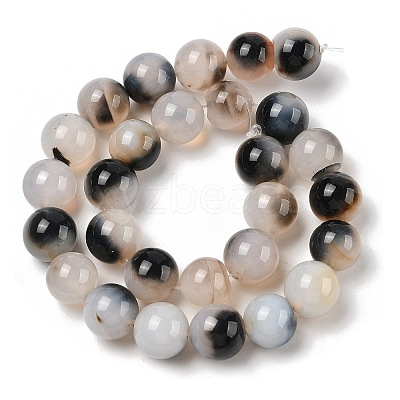 Natural Dendritic Agate Beads Strands G-A248-A07-06-1