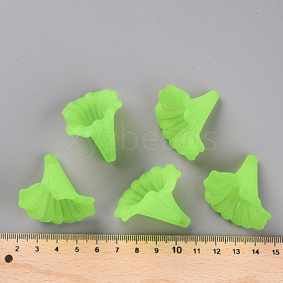 Transparent Acrylic Beads BSF796-C18-1