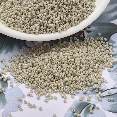 MIYUKI Delica Beads SEED-J020-DB2362-1