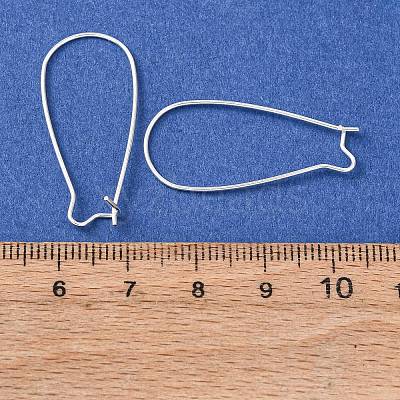 Brass Hoop Earrings Findings Kidney Ear Wires EC221-S-1