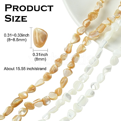 2 Strands 2 Colors Natural Shell Beads Strands SHEL-CJ0001-35-1