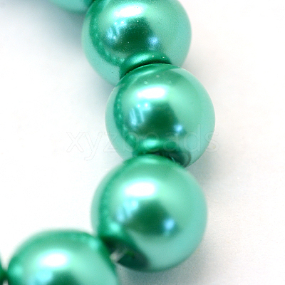 Baking Paint Pearlized Glass Pearl Round Bead Strands HY-Q003-10mm-29-1