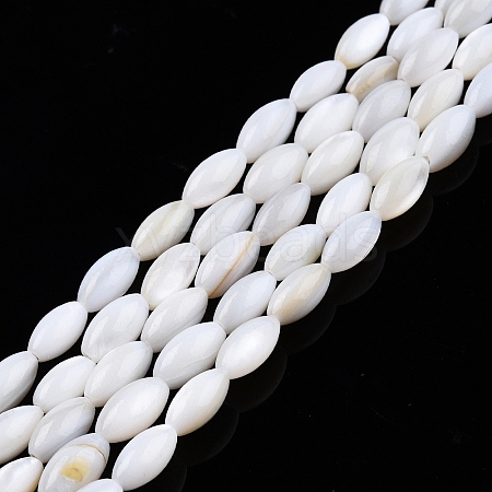 Natural Freshwater Shell Beads Strands X-SHEL-N026-212-A01-1