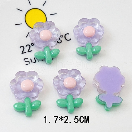 Translucent Resin Decoden Cabochons PW-WG80860-05-1