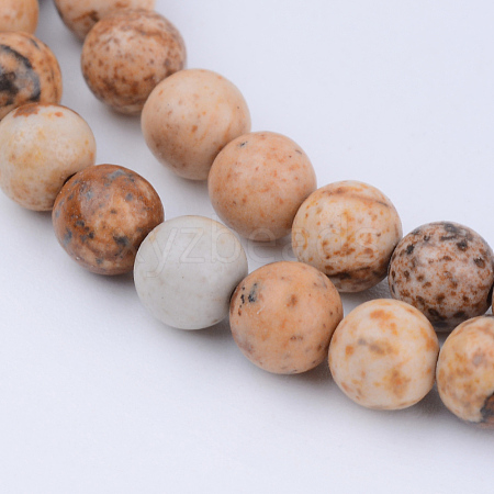 Natural Picture Jasper Beads Strands X-G-Q462-6mm-35-1