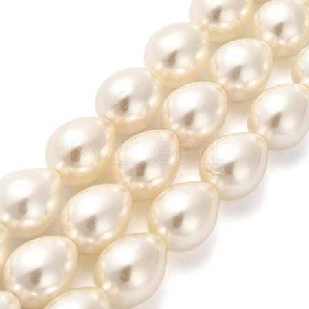 Electroplate Shell Pearl Beads Strands BSHE-G010-14x18mm-01-1