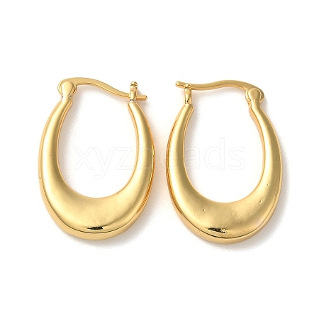 Rack Plating Brass Hoop Earrings EJEW-L224-68G-1