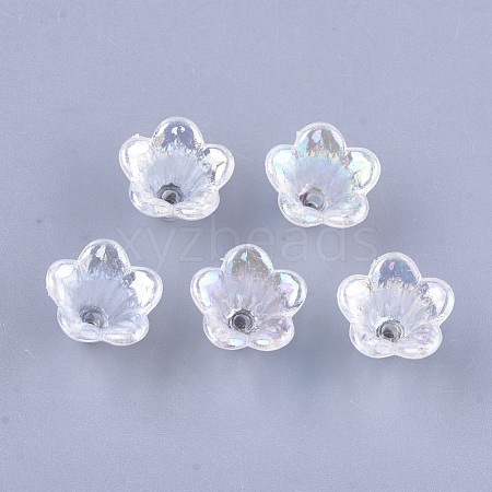 Transparent Acrylic Bead Caps TACR-T007-04A-1