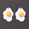 Resin Pendants X-RESI-F030-21-2