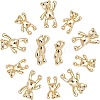 12Pcs 2 Style Brass Micro Pave Black Cubic Zirconia Pendants ZIRC-AR0001-04-1
