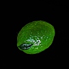 Luminous Fruit Resin Drnament CRES-CJC0009-14I-3