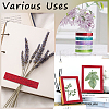 DIY Scrapbook Decorative Laser Paper Tapes DIY-WH20001-98A-4