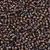 MIYUKI Delica Beads X-SEED-J020-DB1790-3