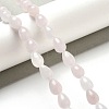 Natural Rose Quartz Beads Strands G-B106-A25-01-2