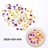 Handmade Polymer Clay Nail Art Decoration Accessories CLAY-S035-034-A04-2