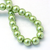 Baking Paint Pearlized Glass Pearl Round Bead Strands HY-Q330-8mm-26-4